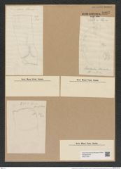 Cerataulus levis var. sinensis [sic] Grun. (de-Toni-Nr.: Genus 173, Species 4435) Zeichnungen Sammlung Grunow Nr. 8007 (NHMW-BOT-W0377304)